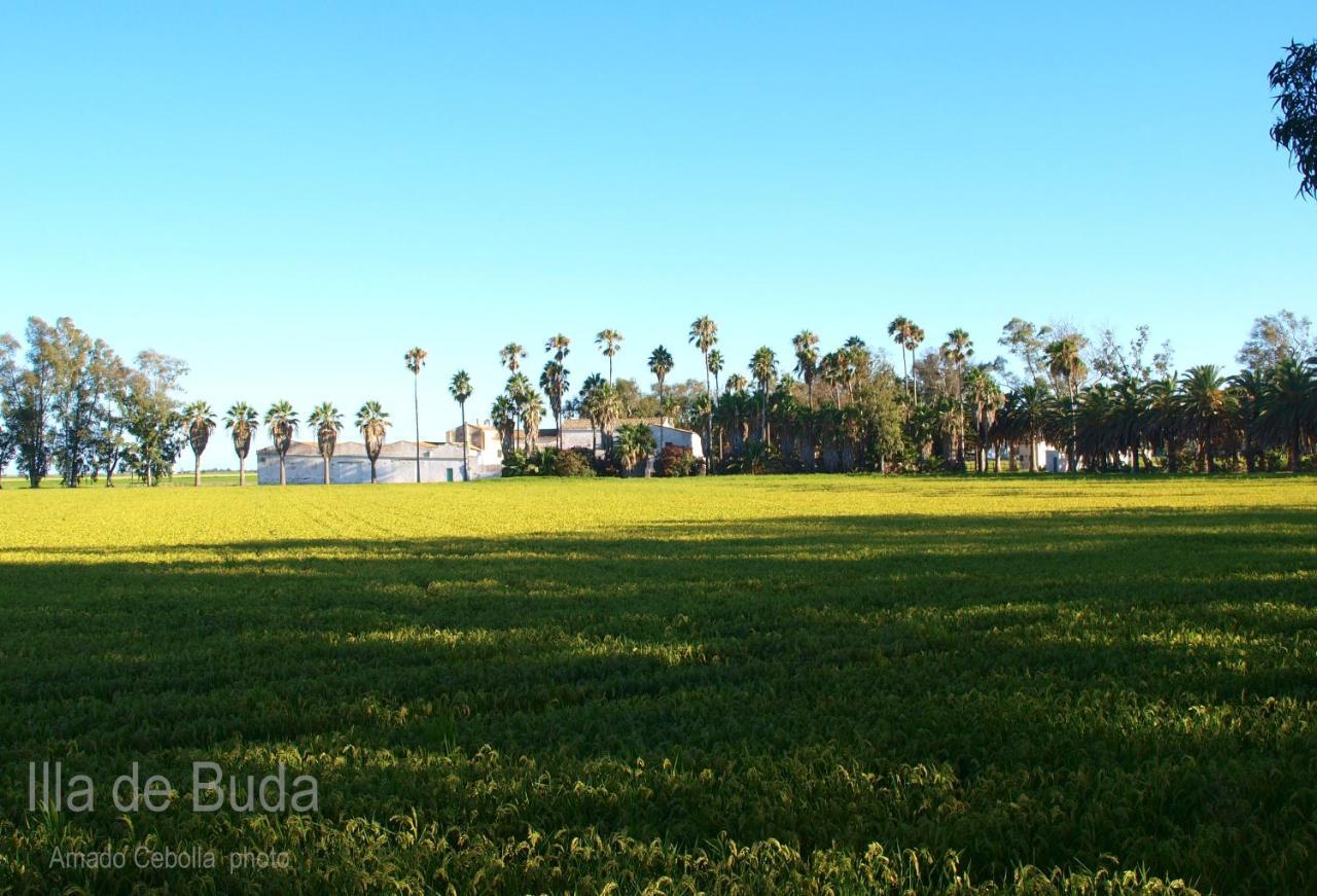 Villa Paquita - Delta De L'Ebre Deltebre Kültér fotó
